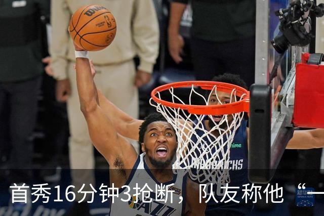 新闻动态